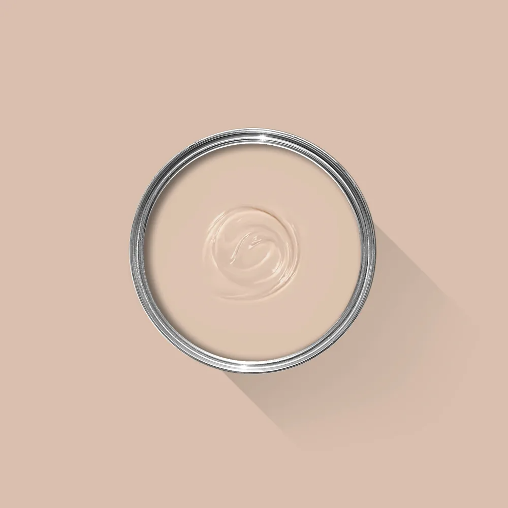 Setting Plaster