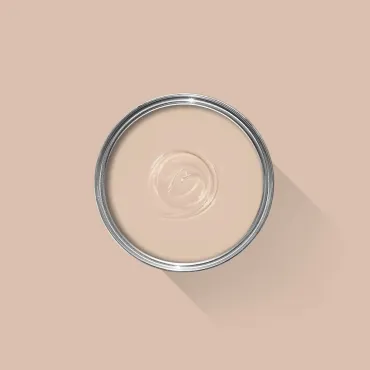 Setting Plaster