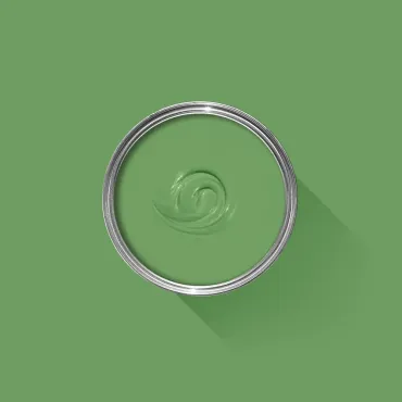 Raw Tomatillo
